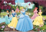 Disney - Princess Memory Mystery 