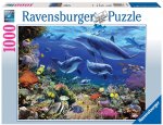 Family of Dolphins Puzzle - 1000pc