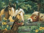 Horses Whispering Puzzle - 200pc